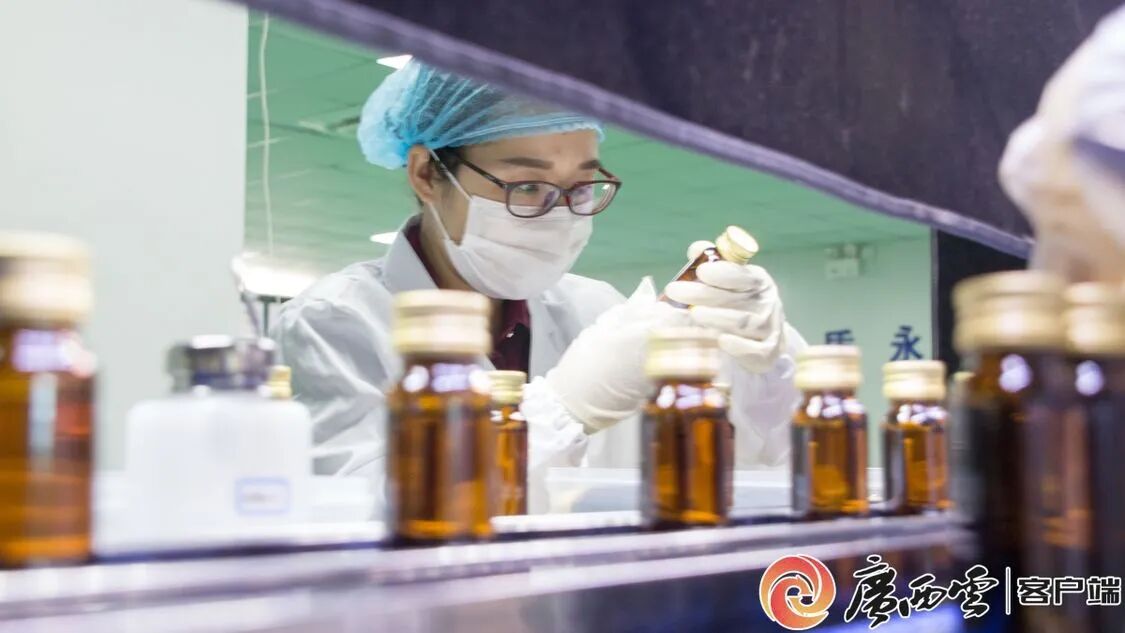 廣西日報聚焦天緣綠：從產(chǎn)品創(chuàng)新到行業(yè)標(biāo)準(zhǔn)，引領(lǐng)芭蕉健康產(chǎn)業(yè)升級